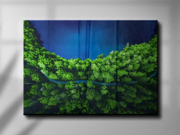 Green Forest